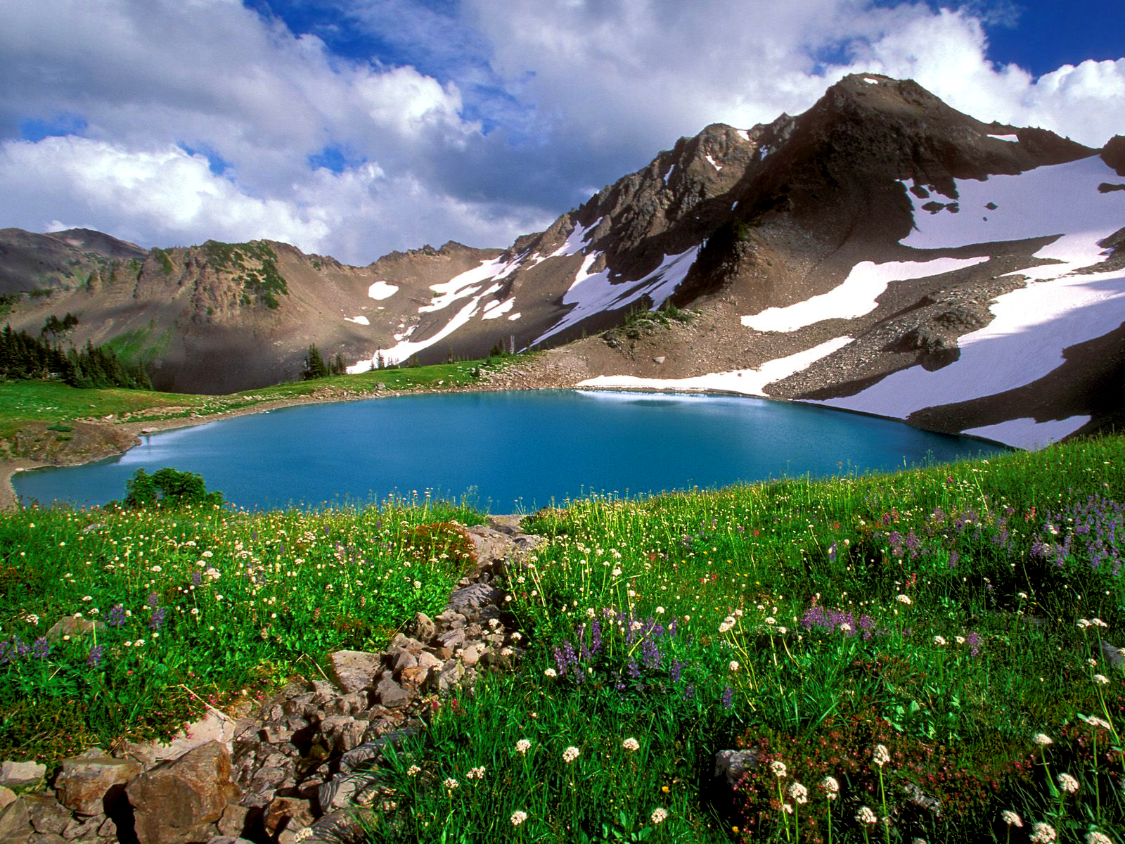 Alpine Tranquility, Olympic National Park, Washington.jpg